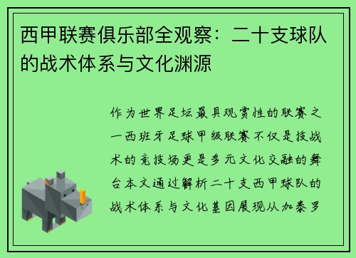 西甲联赛俱乐部全观察：二十支球队的战术体系与文化渊源